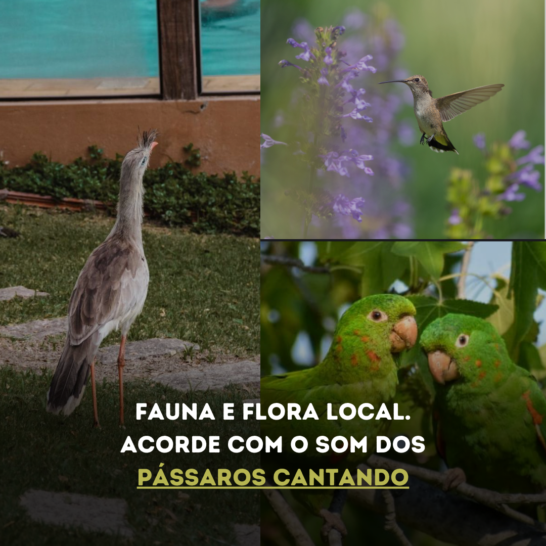 Contato com a natureza